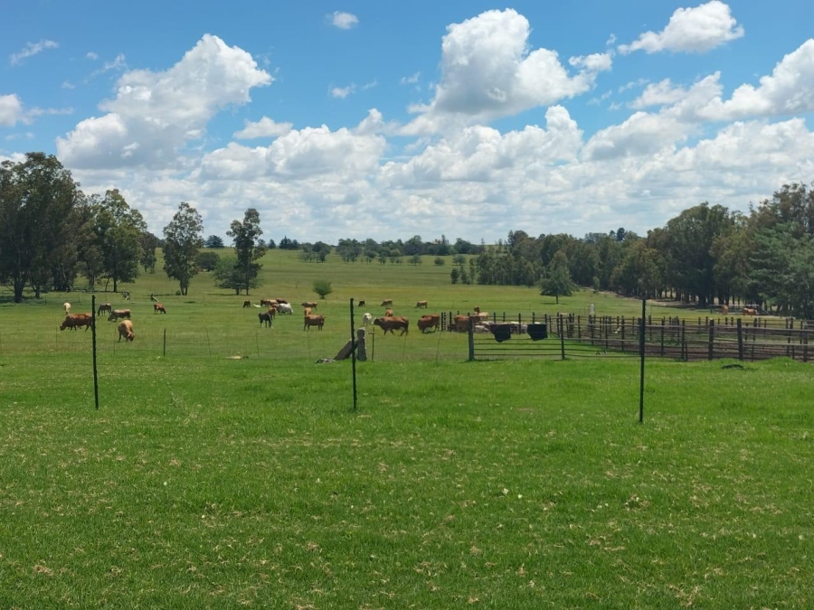 2 Bedroom Property for Sale in Bethlehem Rural Free State